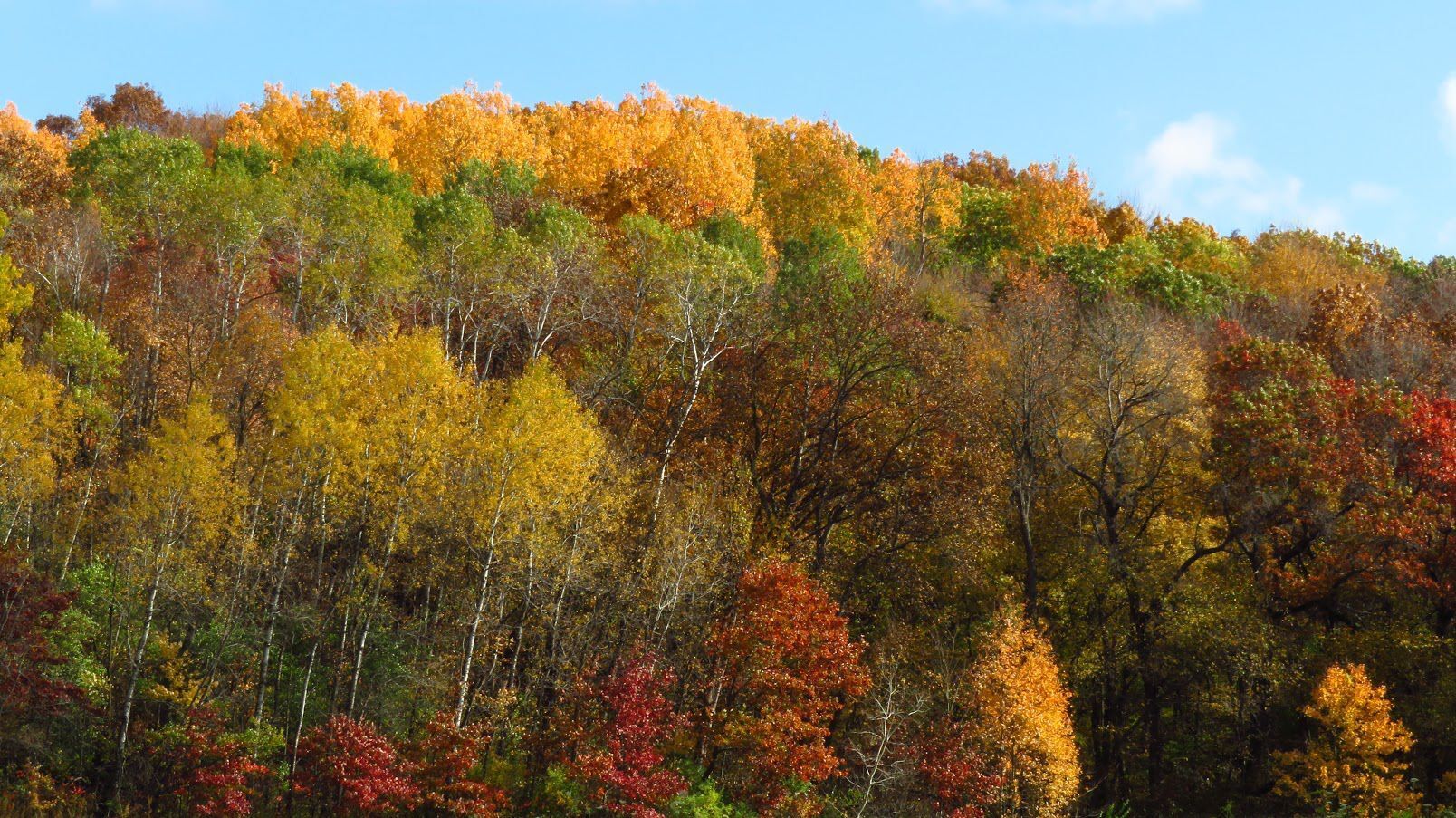 Indian Lake County Park